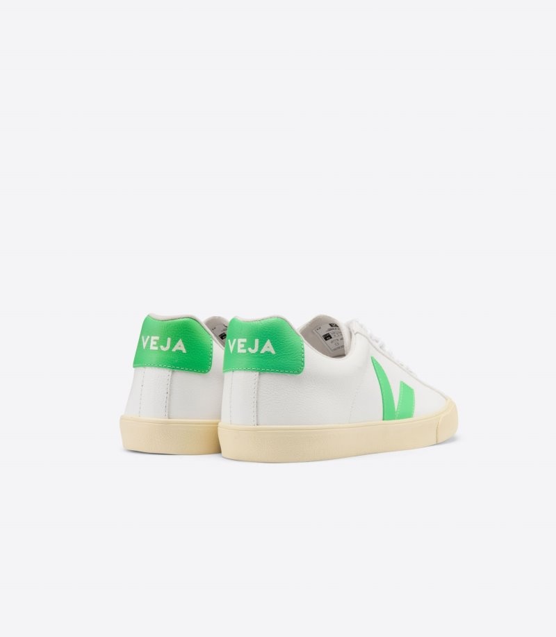 Veja Esplar Chromefree Sneakers Dames Wit Groen | VAG-9124